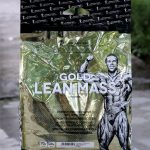 گینر گلد لین مس کوین 6 کیلویی - Kevin Levrone Gold Lean Mass